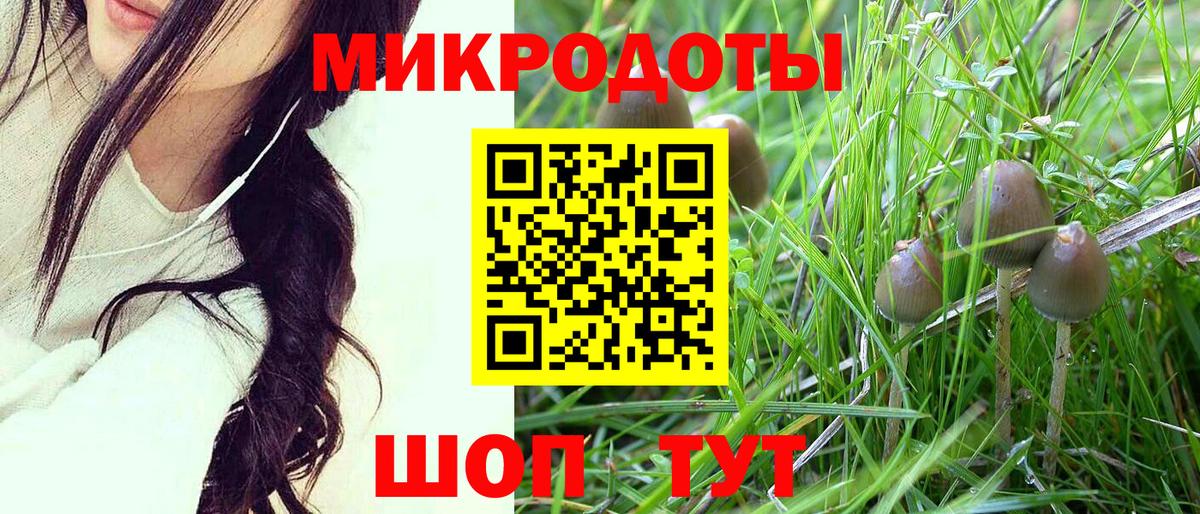 Галлюциногенные грибы Cubensis Елизово